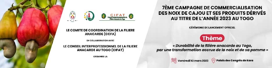 119 fcfa cryptomonnaie nominations les enjeux du conclave du 17 mars 2023 entre paul biya et ses pairs de la cemac L