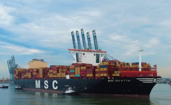 msc diletta