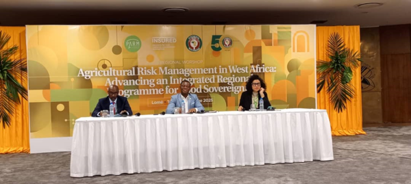 4575142westafricafacefoodinsecurity