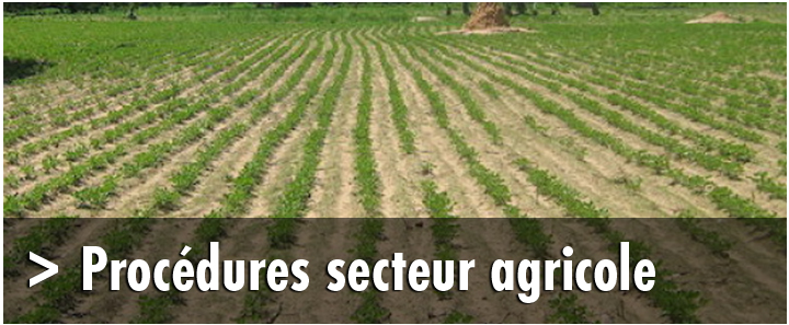 secteur-agricole