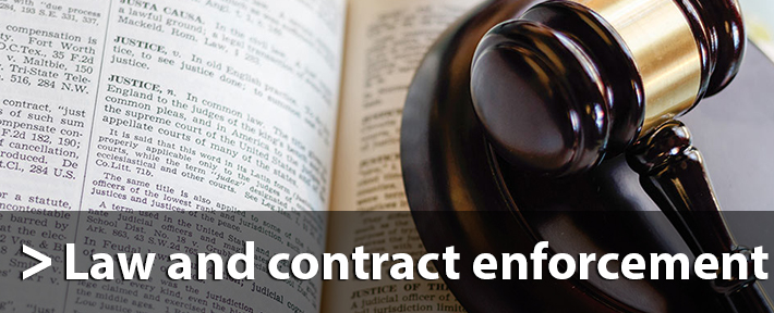 Law and contract enforcement