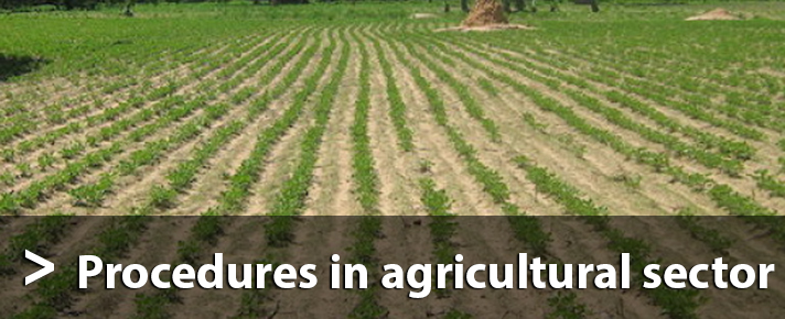 sProcedures in agricultural sector