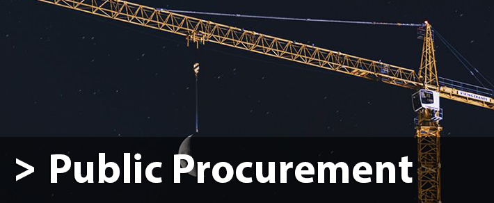 Public Procurement