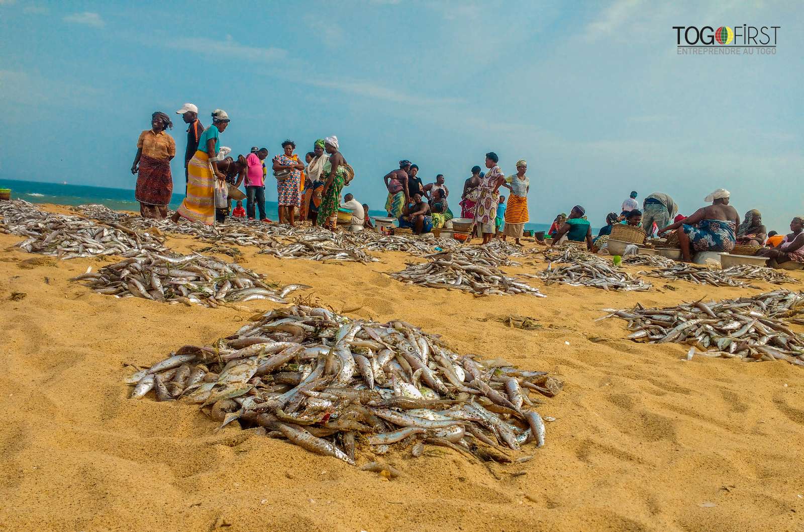 Du poisson sur la plage de Kodjoviakopé  