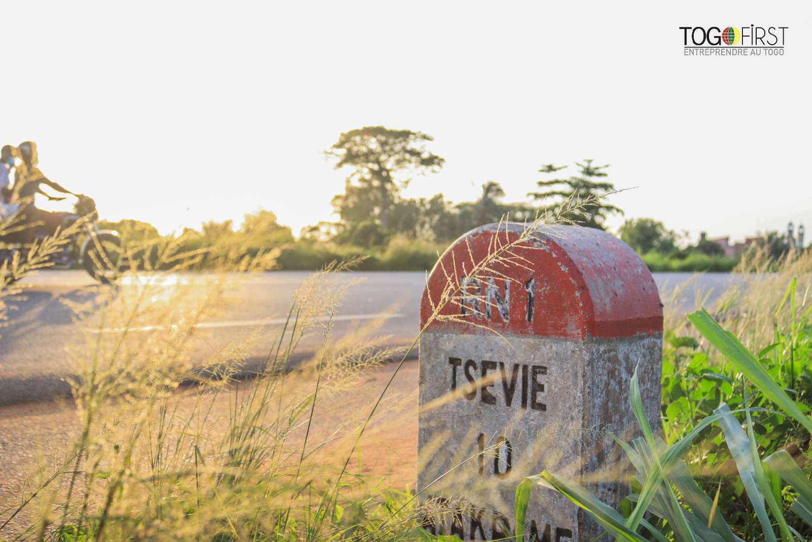 Borne routière