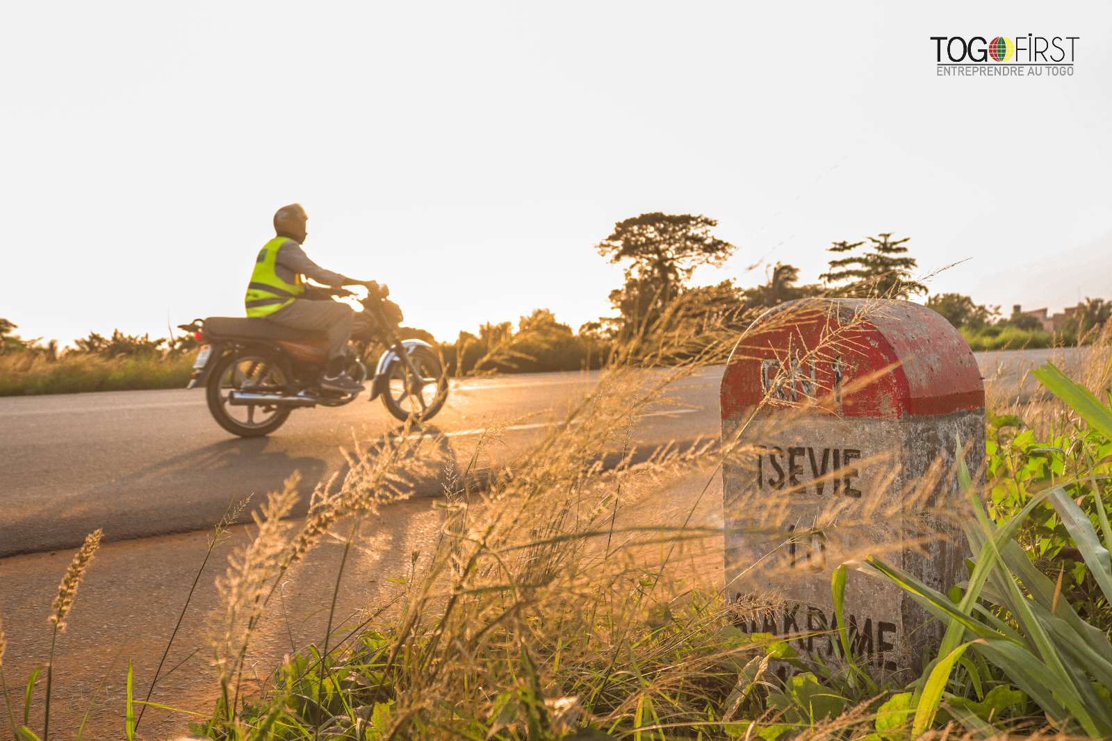 Borne routière