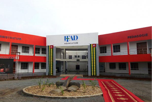 Block-release training institutes for development (IFADs) resort to online classes, as schools remain closed due to Covid-19