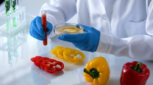 Le Togo lance un processus de normalisation des produits agroalimentaires