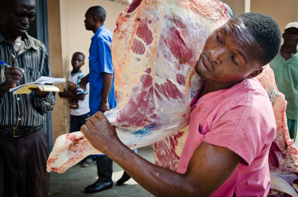 Procédure : Où doit-on abattre les animaux de boucherie au Togo ?