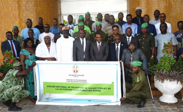 Togo Introduces Updated Forestry Regulations