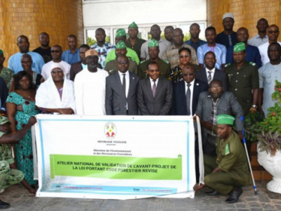 togo-introduces-updated-forestry-regulations