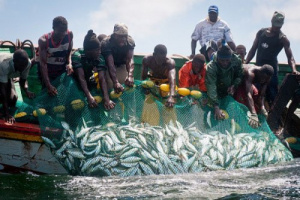 Togo: les activit&eacute;s de p&ecirc;che reprennent sur le lac Nangb&eacute;to