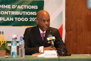Le Togo annonce le recensement de sa diaspora et de ses investisseurs r&eacute;sidant &agrave; l'Ext&eacute;rieur