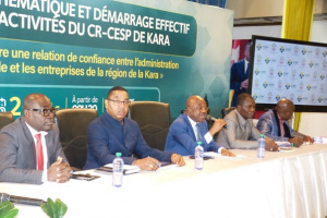 Togo : le Comit&eacute; de concertation &Eacute;tat-secteur priv&eacute; mise sur la confiance entre l&rsquo;administration fiscale et les entreprises