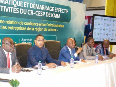 togo-le-comite-de-concertation-etat-secteur-prive-mise-sur-la-confiance-entre-l-administration-fiscale-et-les-entreprises