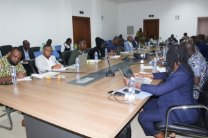 IFAD Reviews ProMIFA Progress in Togo