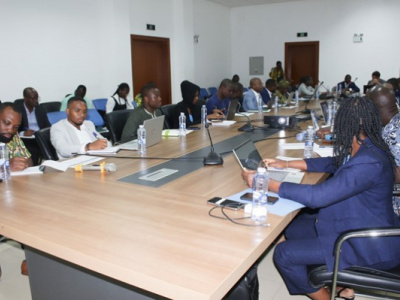 ifad-reviews-promifa-progress-in-togo