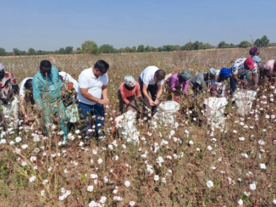 cotton-togo-launches-new-commercialization-campaign