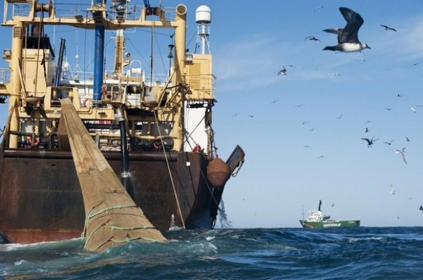 Opération conjointe du Togo et du Bénin cette semaine pour lutter contre la pêche illicite