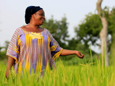 projet-gnozou-4-8-milliards-fcfa-mobilises-pour-renforcer-le-developpement-local-dans-les-savanes-et-la-kara