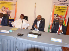 African Solidarity Fund to help COFINA raise CFA5 billion for expansion