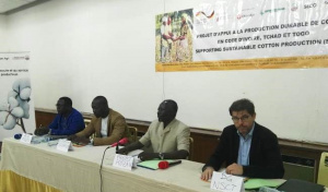 Am&eacute;lioration de la production cotonni&egrave;re au Togo : l&rsquo;Allemagne va appuyer 10 000 producteurs