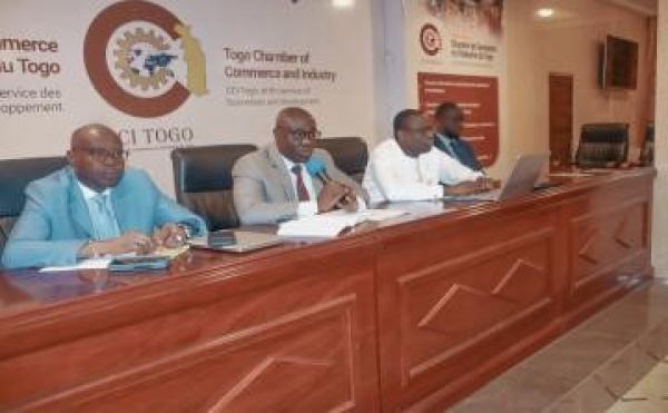 Stratégie d’assistance pays pour le Togo : la BOAD consulte le secteur privé
