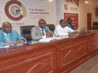 strategie-d-assistance-pays-pour-le-togo-la-boad-consulte-le-secteur-prive
