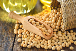 Togo : des r&eacute;flexions sur l'avenir de la fili&egrave;re du soja bio