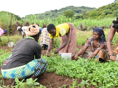 togo-kicks-off-international-year-of-the-woman-farmer-with-focus-on-economic-empowerment