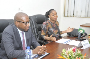 Digitalisation des services publics : le minist&egrave;re de l&rsquo;&eacute;nergie met 29 d&eacute;marches en ligne