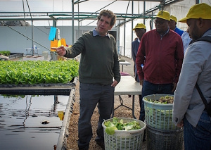 Coop&eacute;ration: des experts isra&eacute;liens se proposent de booster la culture mara&icirc;ch&egrave;re au Togo