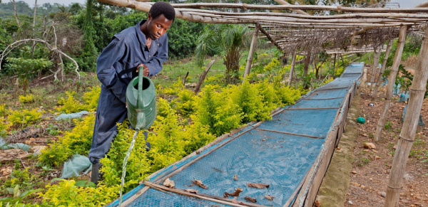 Le Togo va doter 50 zones agricoles de superstructures et de systèmes d&#039;irrigation