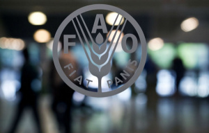 FAO signs financing agreements with 7 local partners on the sideline of its 40th anniversary in Togo
