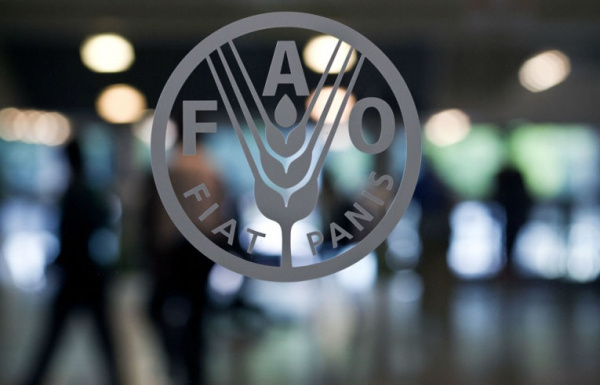 FAO signs financing agreements with 7 local partners on the sideline of its 40th anniversary in Togo