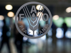 FAO signs financing agreements with 7 local partners on the sideline of its 40th anniversary in Togo