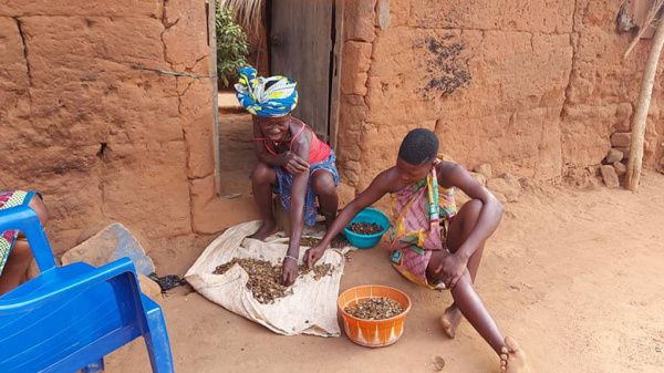 Togo : 1,27 milliard FCFA consacré à l&#039;action sociale en 2022, pour plus de 800 000 bénéficiaires