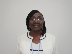 COP 27 : les points d&rsquo;insatisfaction du Togo