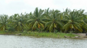 Togo - B&eacute;nin : vers une charte pour une exploitation concert&eacute;e de l&rsquo;eau du bassin du Mono