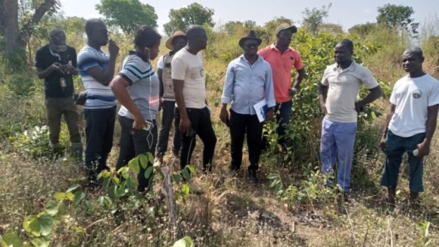 Togo : l’Agence de transformation agricole recrute 55 agents