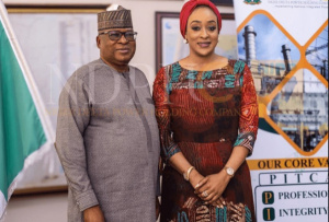 Nigeria open to more power exports to Togo