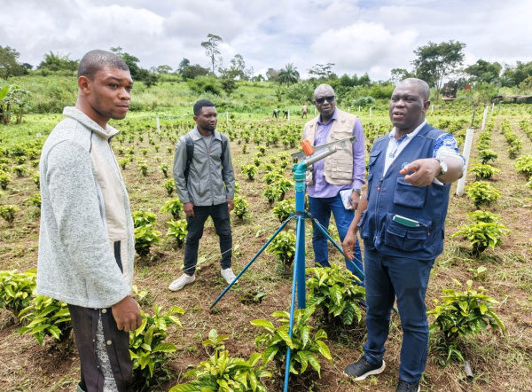 FAO backs Togo&rsquo;s food security drive with CFA3.5 bln&nbsp;
