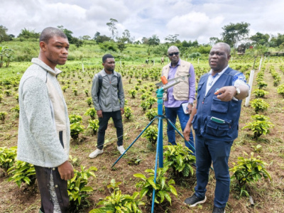 fao-backs-togo-s-food-security-drive-with-cfa3-5-bln
