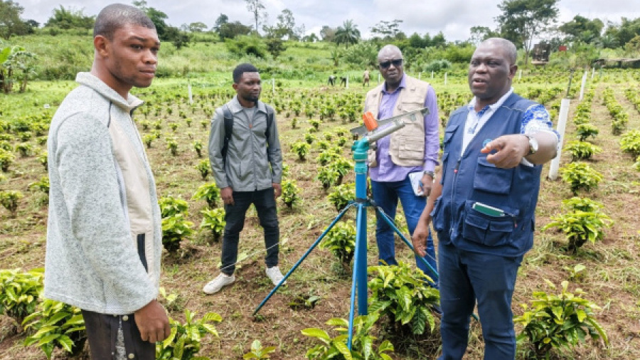 fao-backs-togo-s-food-security-drive-with-cfa3-5-bln