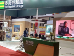 Togo sends a business delegation to attend the China International Import Expo 2023 in Shangai