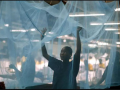 Togo: A campaign to distribute six million mosquito nets to be launched