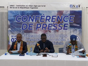 Togo : 126 architectes et 58 cabinets r&eacute;guli&egrave;rement enregistr&eacute;s en 2024