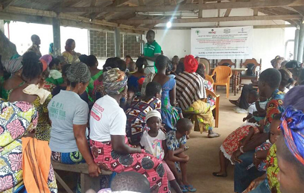 Whatsapp groups created to engage women in fight against deforestation and climate change