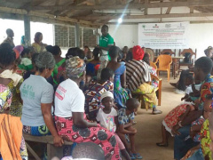 Whatsapp groups created to engage women in fight against deforestation and climate change
