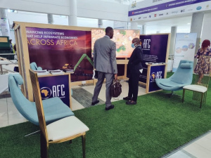 Le Togo int&egrave;gre l&rsquo;actionnariat de l&rsquo;Africa Finance Corporation